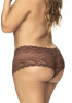 Shorty grande taille en dentelle couleur cacao 