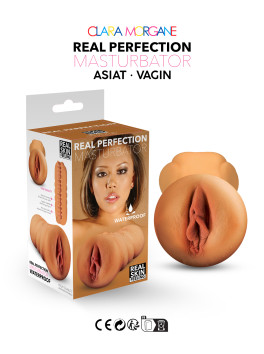 Real perfection masturbator vagin oriental