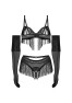 Rossay 4 pieces crotchless lingerie set - Black